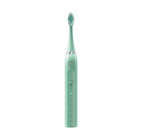 Lomi ToothBrush (Option: Mint)